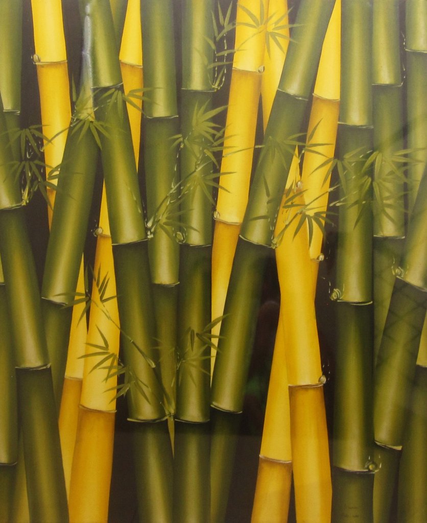  Jenis  jenis  Bambu  Hias Lengkap Dengan Wallpaper Gambar Bambu 