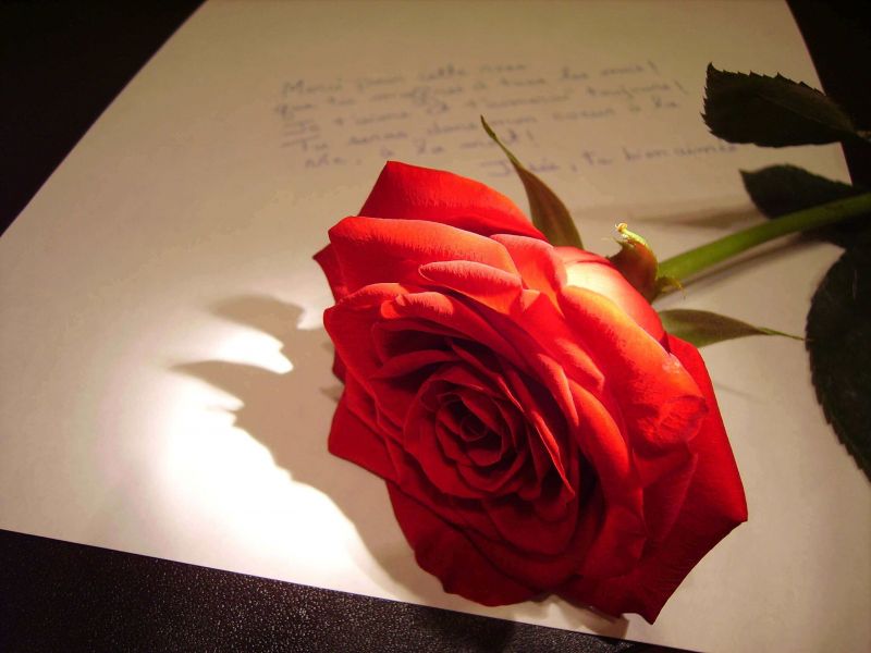 100 Kata Kata Cinta Bijak Paling Romantis Bikin Hati Meleleh
