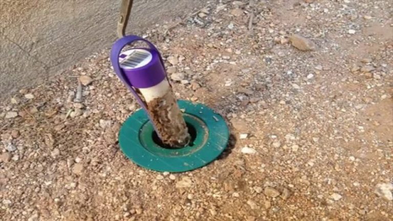 get rid termites » alihamdan