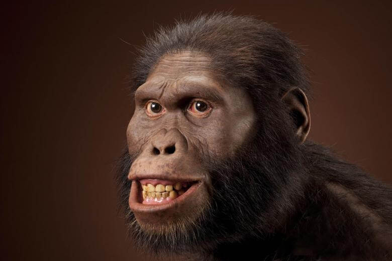 Jenis manusia purba Australopithecus Africanus