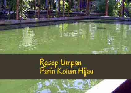 umpan-patin-kolam-hijau